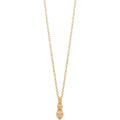 JCNL02423200 ЛАНЧЕ JUST CAVALLI