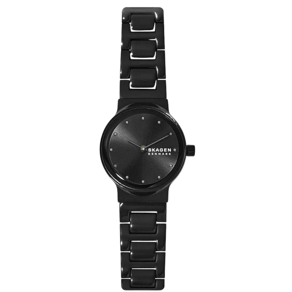 SKW2830 ЧАСОВНИК SKAGEN
